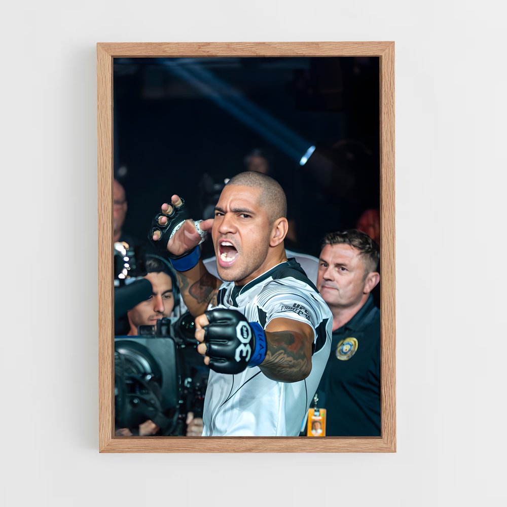 Poster Alex pereira enflammer – affiche MMA (vue 4)